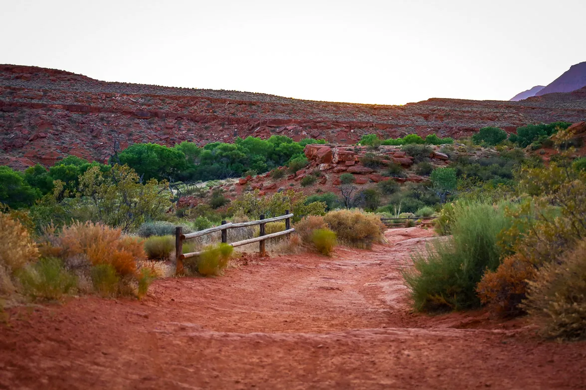chuckwalla-trail-26