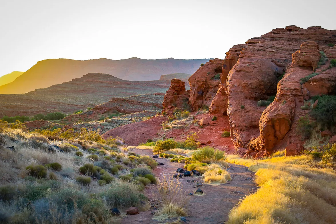 chuckwalla-trail-19