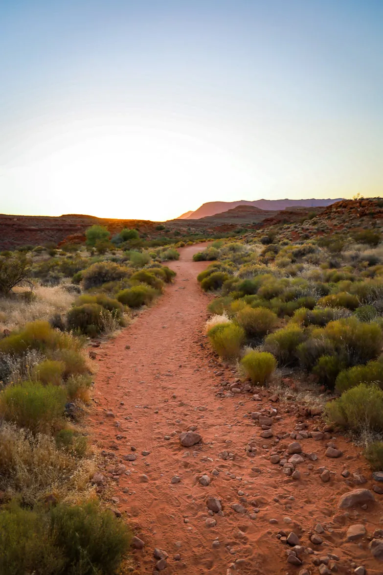 chuckwalla-trail-22