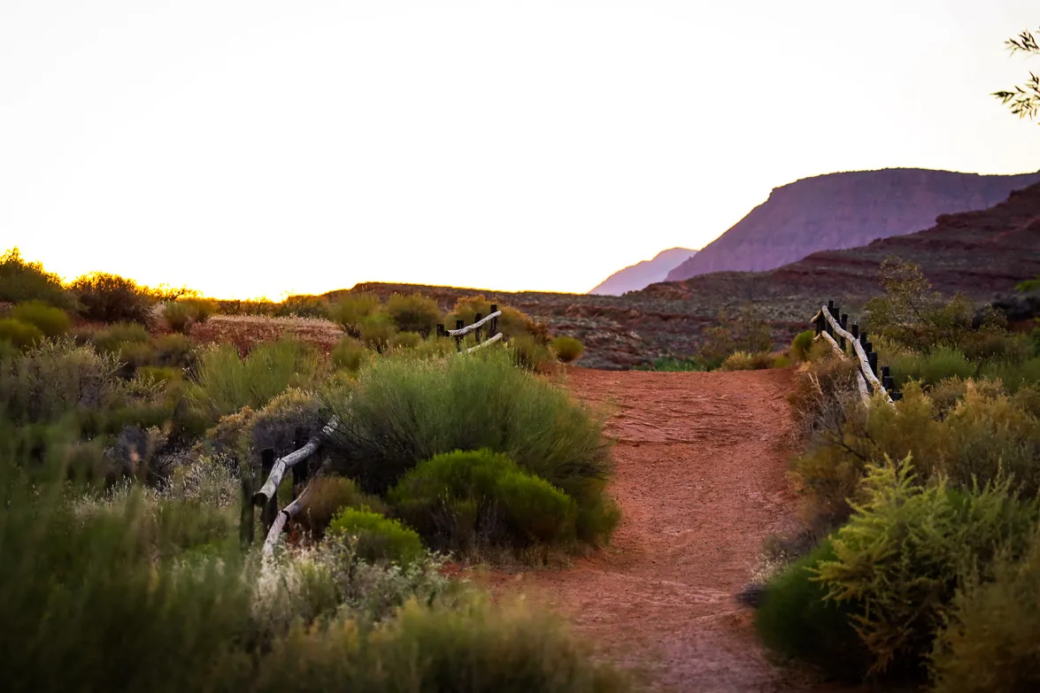chuckwalla-trail-25