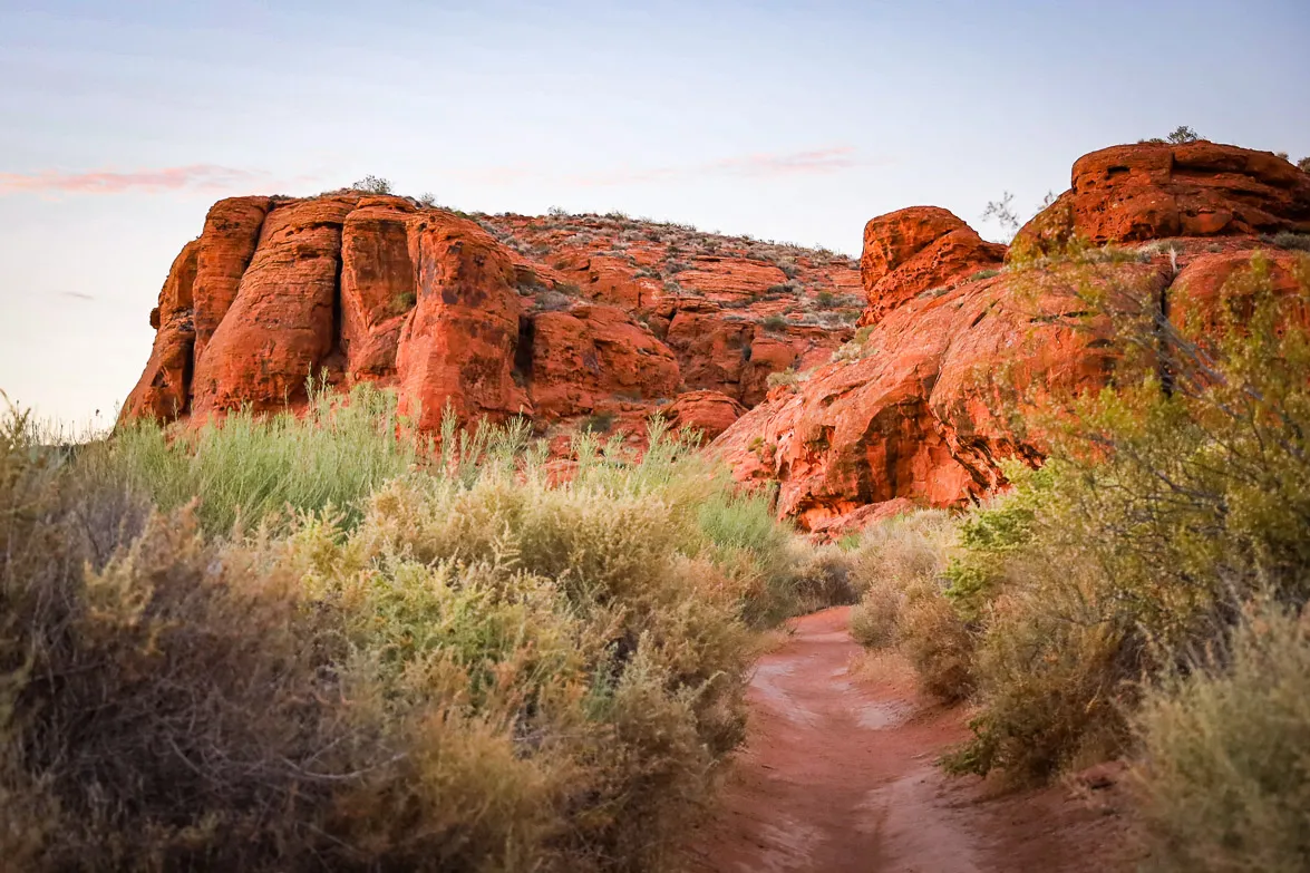 chuckwalla-trail-30